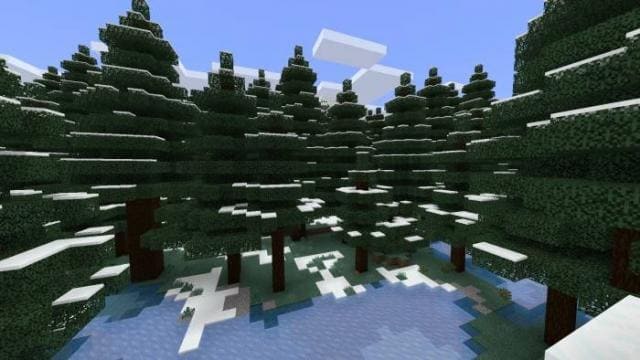 Снежный хвойный лес