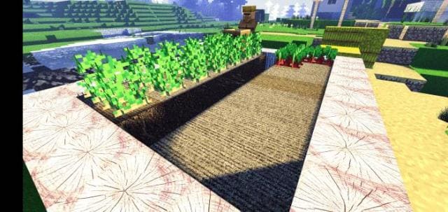 Овощи и растения с измененным видом