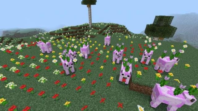 Коровы с розовым тюльпаном