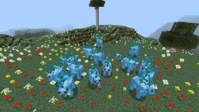 Коровы с голубой орхидеей