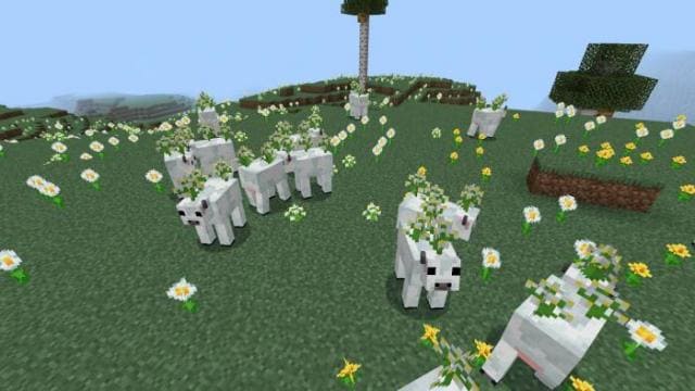 Корова с белыми тюльпанами на поле