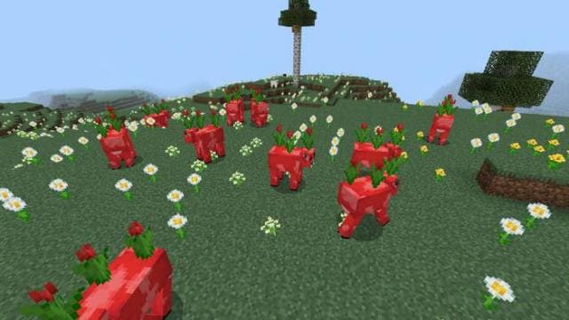 Коровы с красными тюльпанами на поле