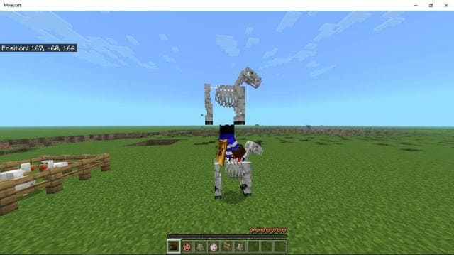 Игрок на лошади-скелете с лошадью-скелетом на голове
