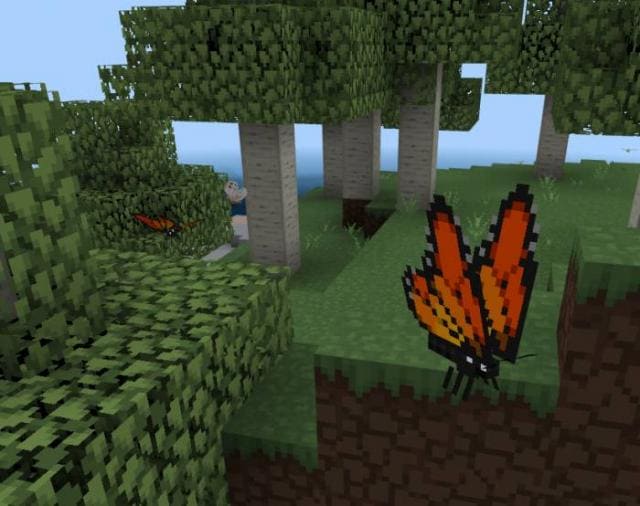 Бабочка в лесу