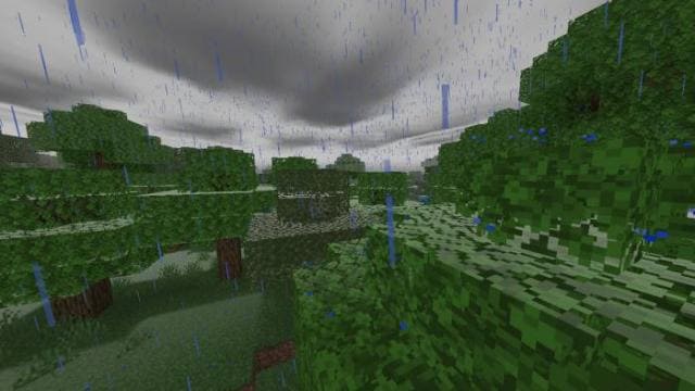 Проливной дождь в лесу