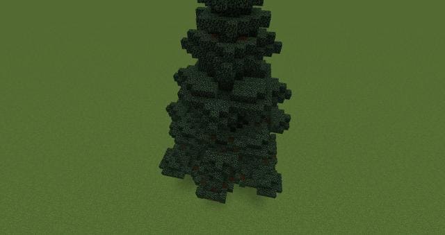 Как выглядит дерево сверху