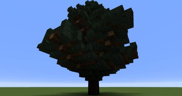 Как выглядит дерево снизу