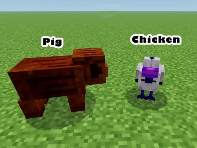 Свинья и курица