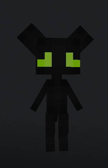Черный кот
