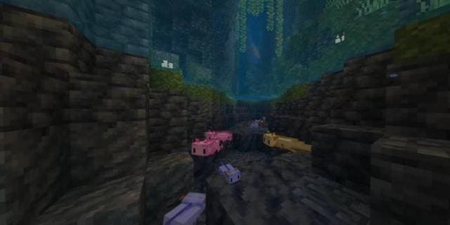 Аксолотли под водой