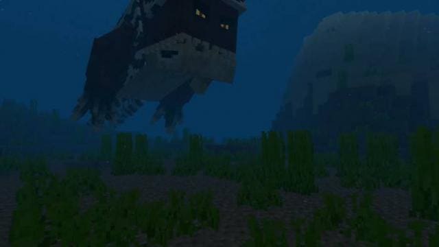 Сандоракен под водой