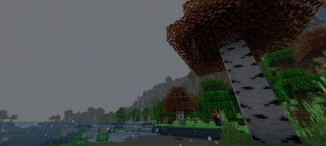 Березовый лес в дождь