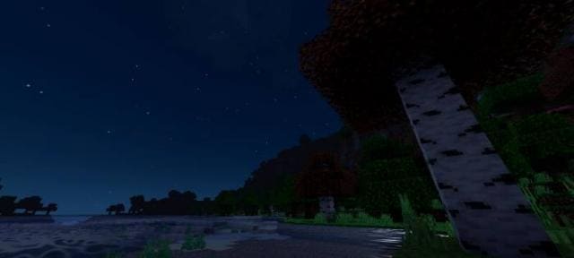 Березовый лес в темноте
