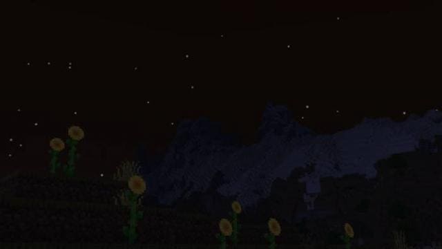 Ромашки ночью