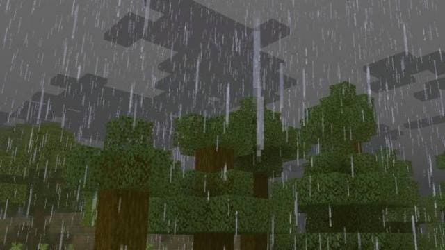 Дождливая погода в лесу