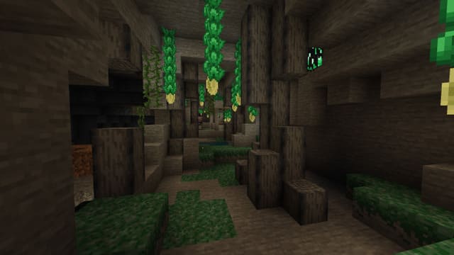 Пещеры с растительностью