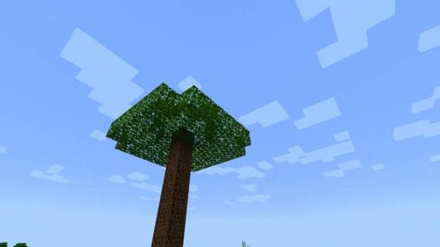 Большие деревья