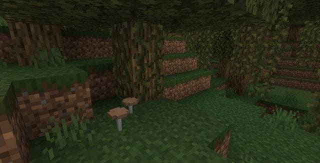 Коричневые грибы под деревьями