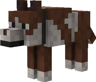 Бело-коричневая собака
