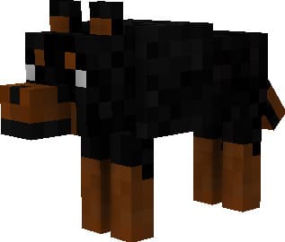Темно-коричневая собака