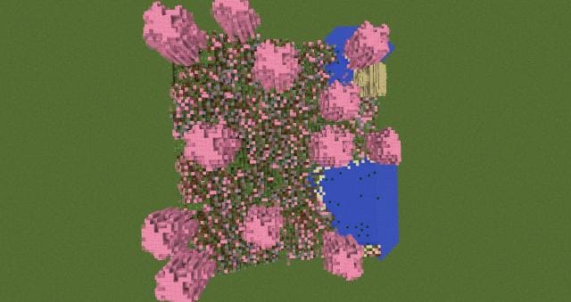 Розовый лес вид сверху