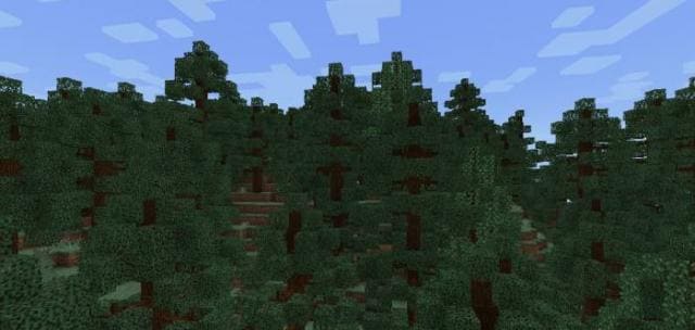 Таежный лес