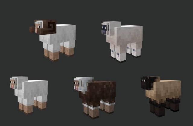 Разные виды шерсти у овец