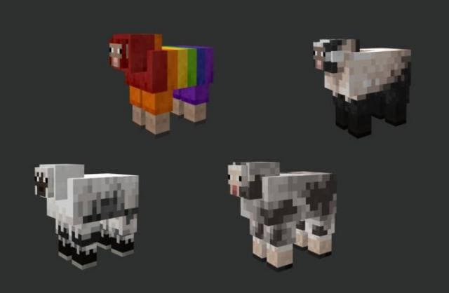 4 вида овец
