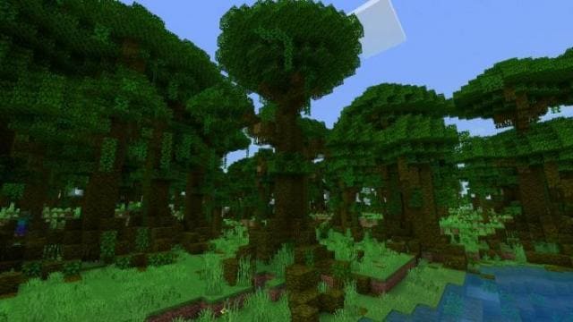 Заросшее дерево джунглей