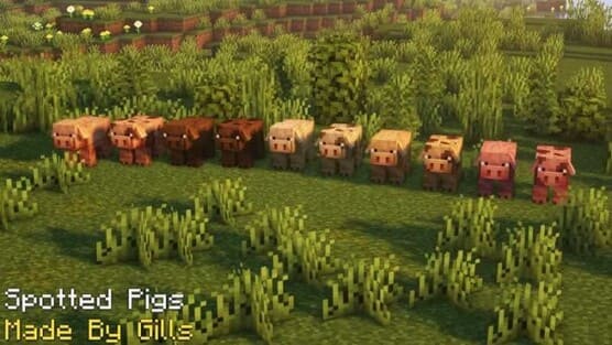 Свиньи в травяном биоме