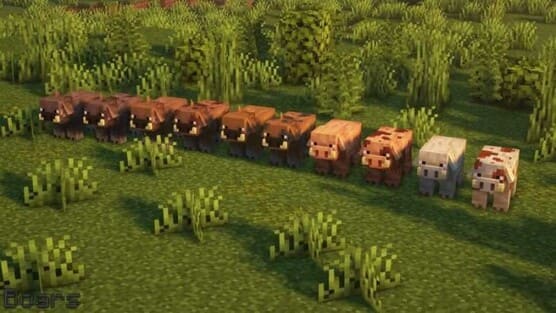 Свиньи с различными модельками