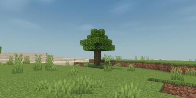 Одинокое дерево посреди поля