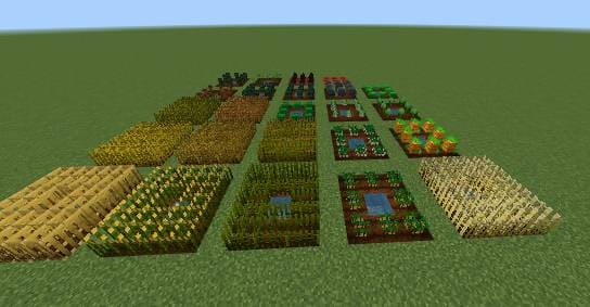 Выращивание овощей и растений