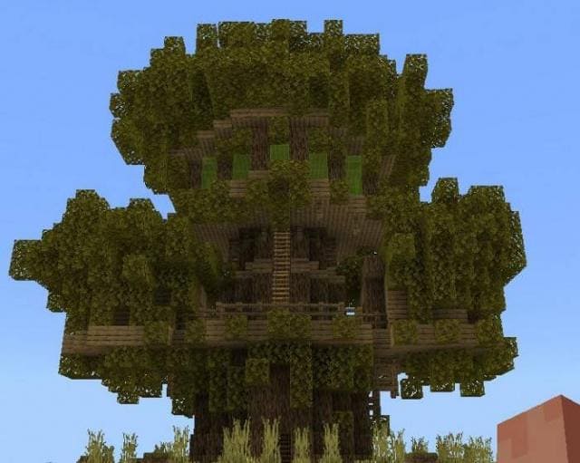 Вид на гигантское дерево