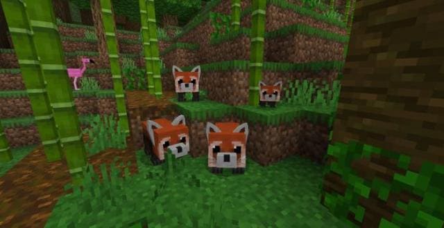 Красные панды в бамбуковом биоме