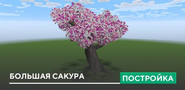 Большие деревья сакуры Изображения – скачать бесплатно на Freepik