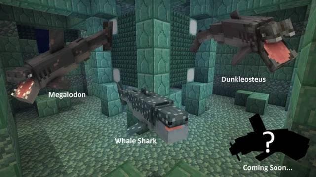 Большие виды акул