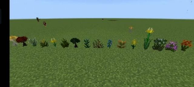 Разнообразие растений