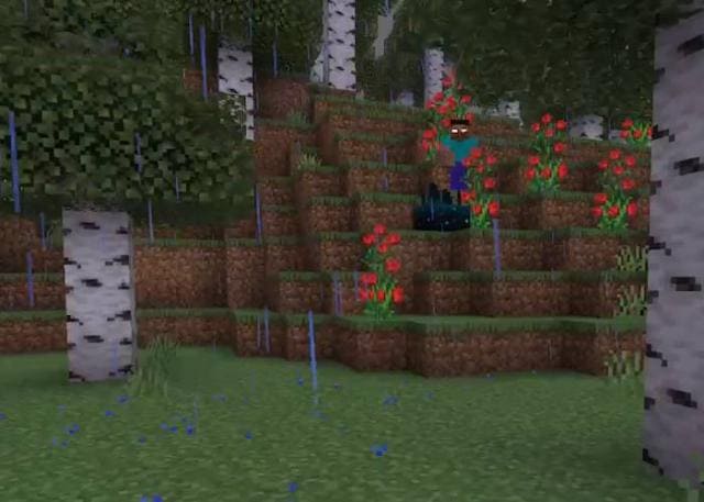 Тюльпаны в березовом лесу