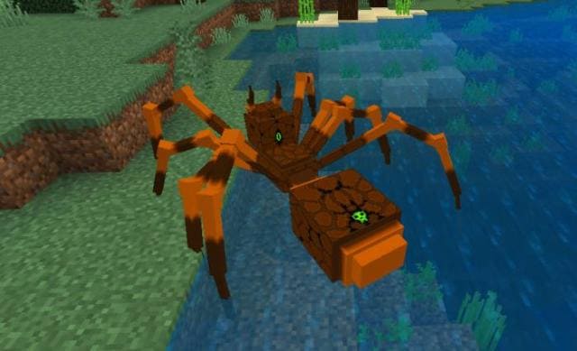 Страшный паук на берегу