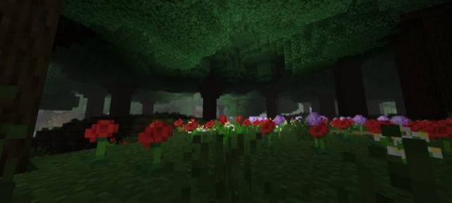 Крытый лес с цветами