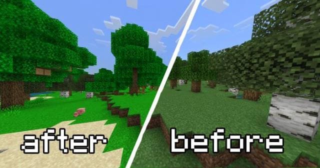 Сравнение леса до и после установки