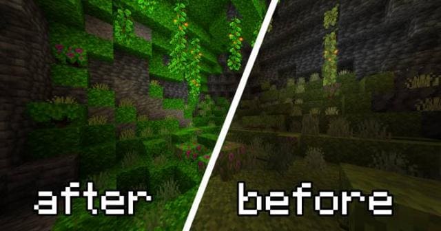 Сравнение растений до и после установки