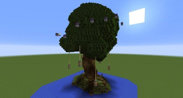 Огромное дерево вид спереди