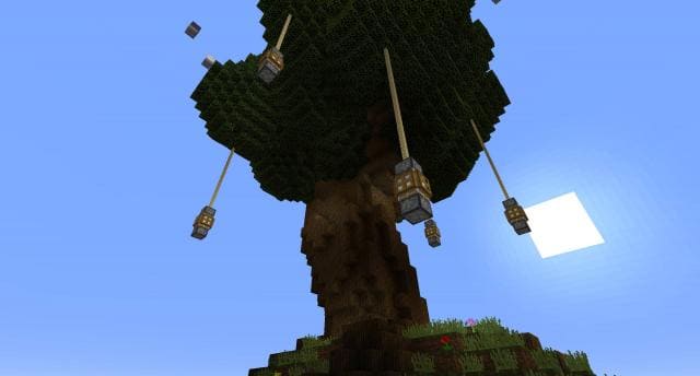 Огромное дерево вид снизу