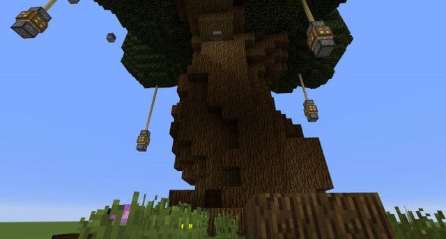Огромное дерево вид снизу 2