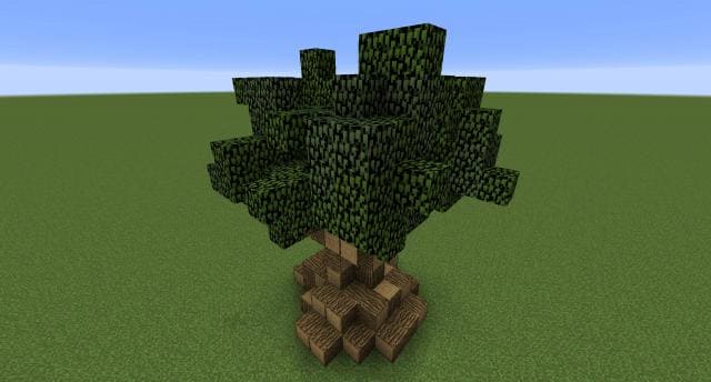 Мощное дерево вид сверху 2