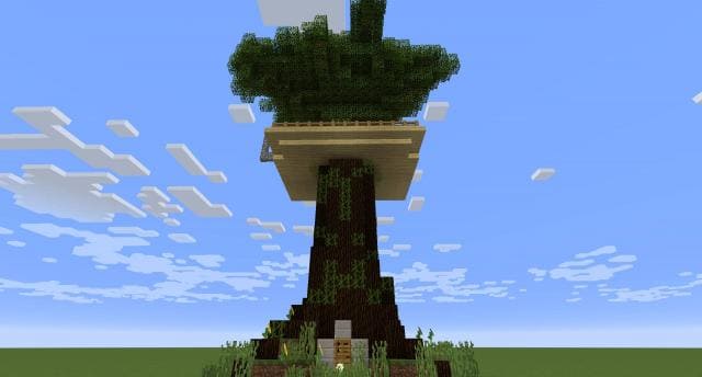 Дерево-дом вид снизу