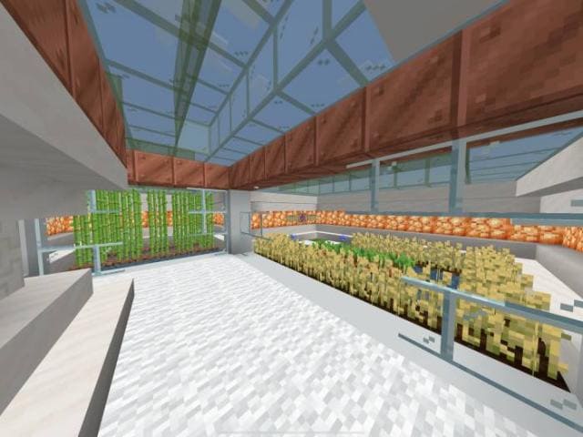 Место выращивания овощей
