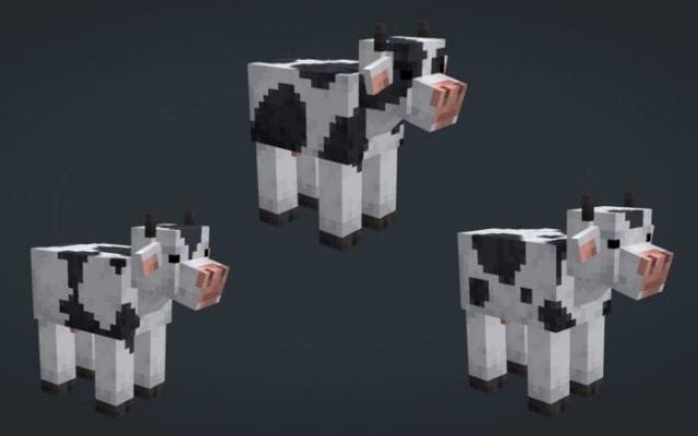 3 вида белых Коров